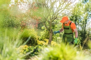 blog image How to Choose the Right Tree Service Company in Columbia, SC